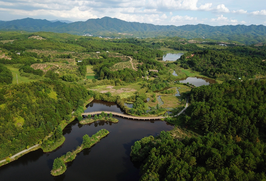 福建省龍巖市長(zhǎng)汀縣的長(zhǎng)汀汀江國(guó)家濕地公園景色（2020年7月28日攝，無人機(jī)照片）。新華社記者 魏培全 攝