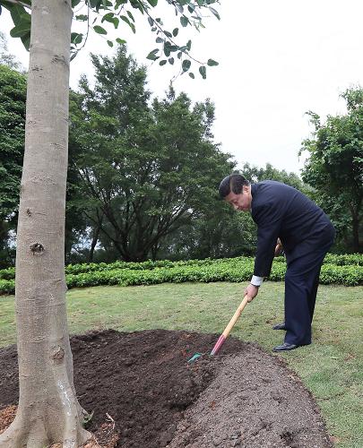 2012年12月7日至11日，習近平在廣東省考察工作。這是8日上午，習近平在深圳蓮花山公園種下一棵高山榕樹。新華社記者 蘭紅光 攝